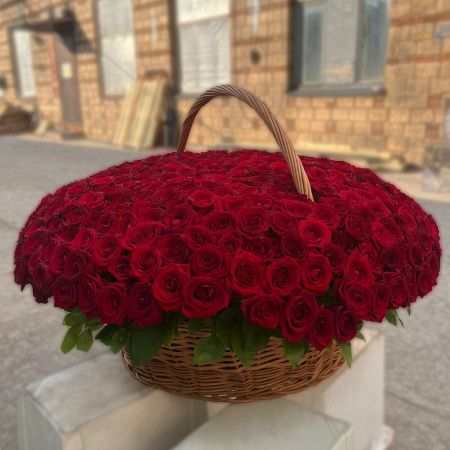 Корзина из 501 красной розы