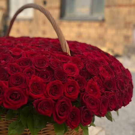 Корзина из 501 красной розы