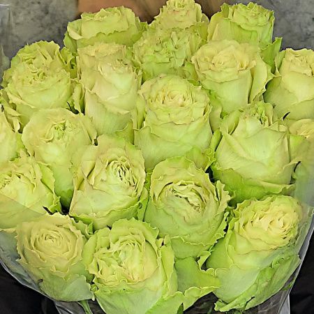 Букет из 21 зелёной розы
