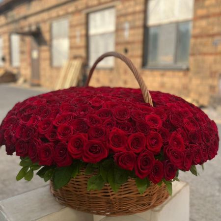 Корзина из 501 красной розы